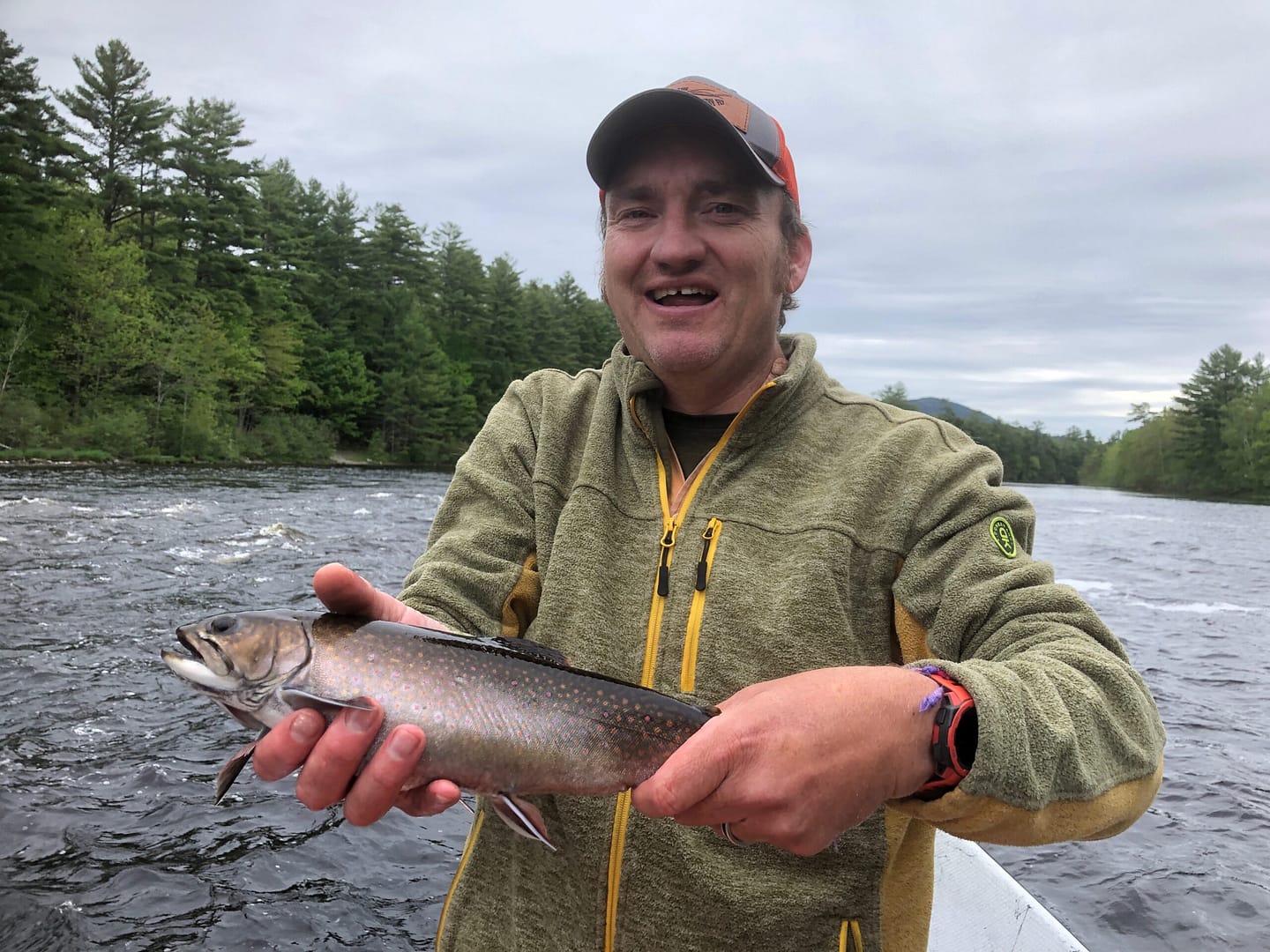 Big Eddy Brook Trout